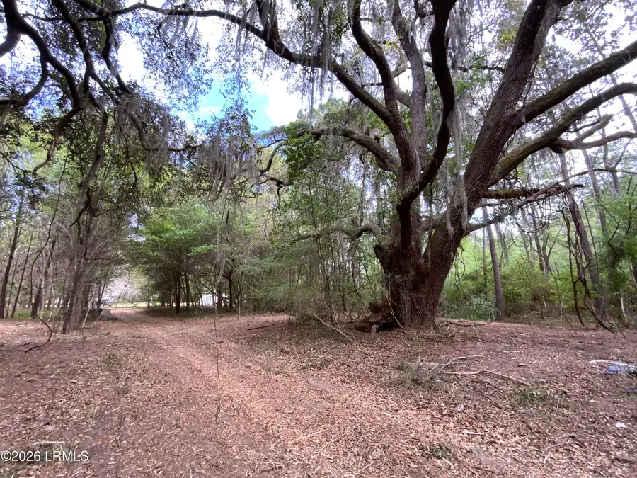 33 Pearl Harbor Lane, Saint Helena Island, SC 29920 - #2