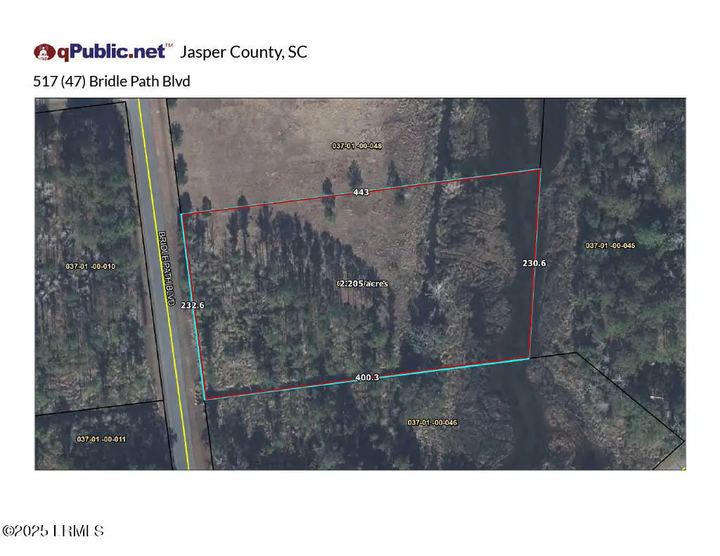 517 Bridle Path Boulevard, Hardeeville, SC 29927 - #1