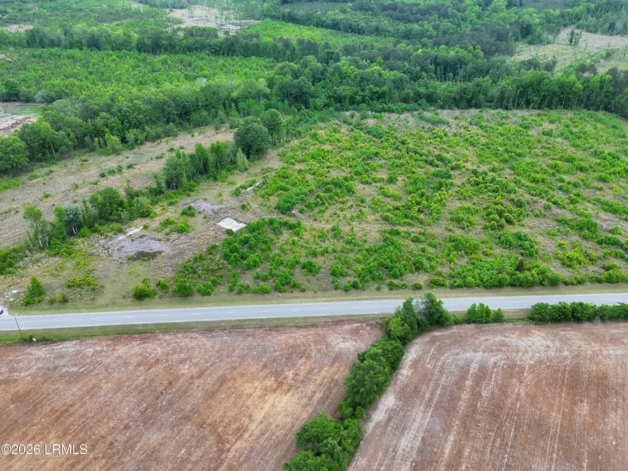 Tbd Voorhees Road, Bamberg, SC 29003 - #3