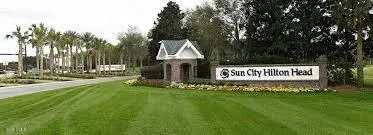 36 Rose Bush Lane, Bluffton, SC 29909 - #1
