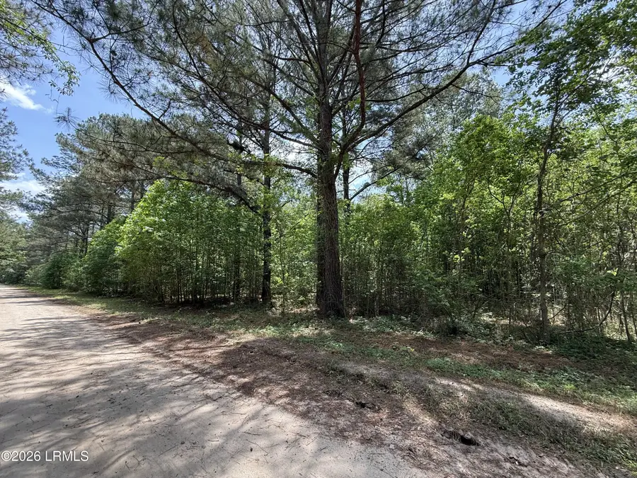 12 Rubie Lane, Yemassee, SC 29945 - #3
