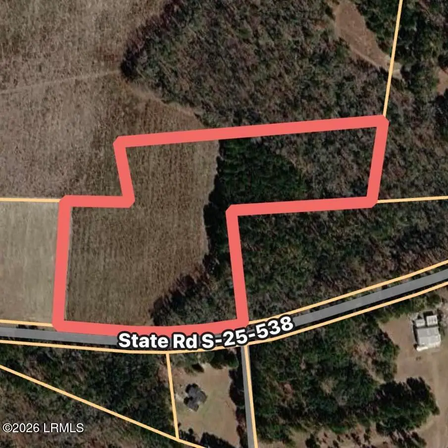 Tbd Mullings Ford Road, Brunson, SC 29911 - #1