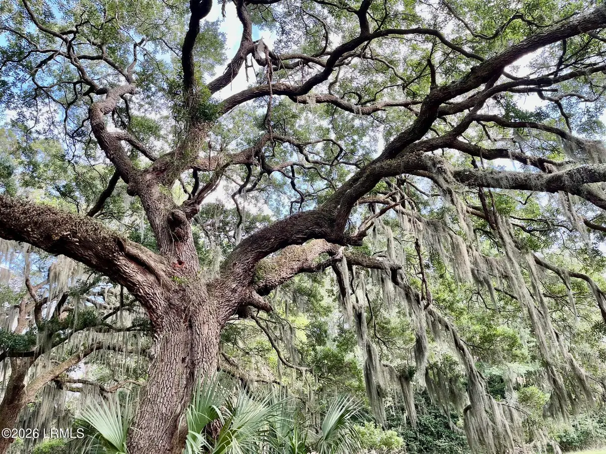 Tbd Mattis Drive, Saint Helena Island, SC 29920 - #1