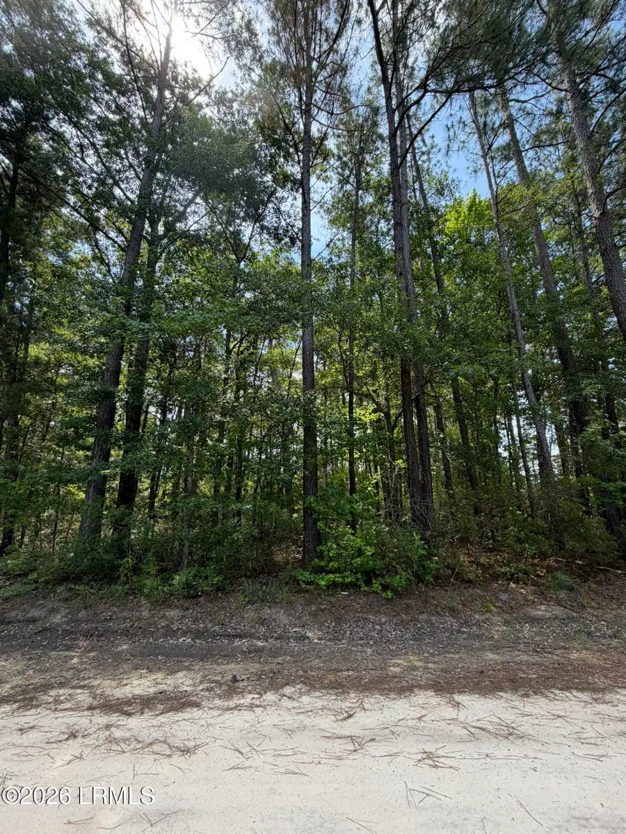 Tbd Hillcrest Drive, Hampton, SC 29924 - #2
