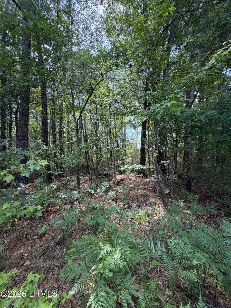 Tbd Hillcrest Drive, Hampton, SC 29924 - #3