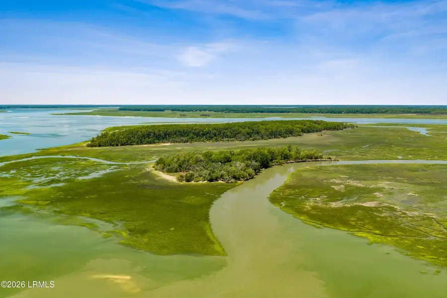 20 Rose Island, Okatie, SC 29909 - #3