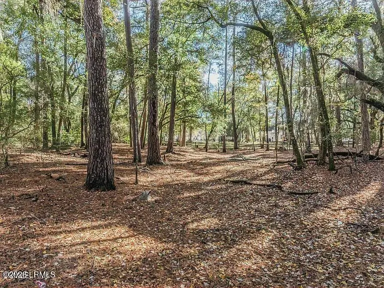 386 Brickyard Point Road S, Beaufort, SC 29907 - #1