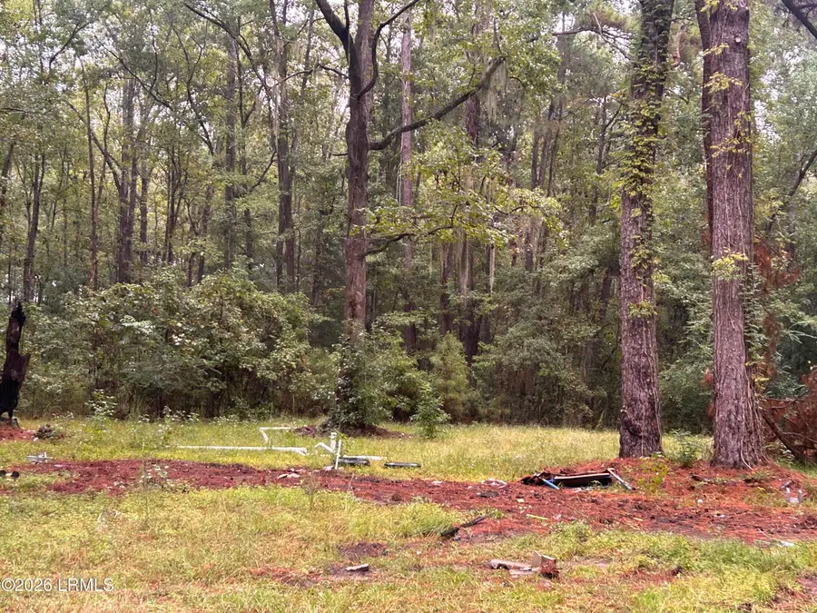 29 Porches Hill Road, Seabrook, SC 29940 - #2