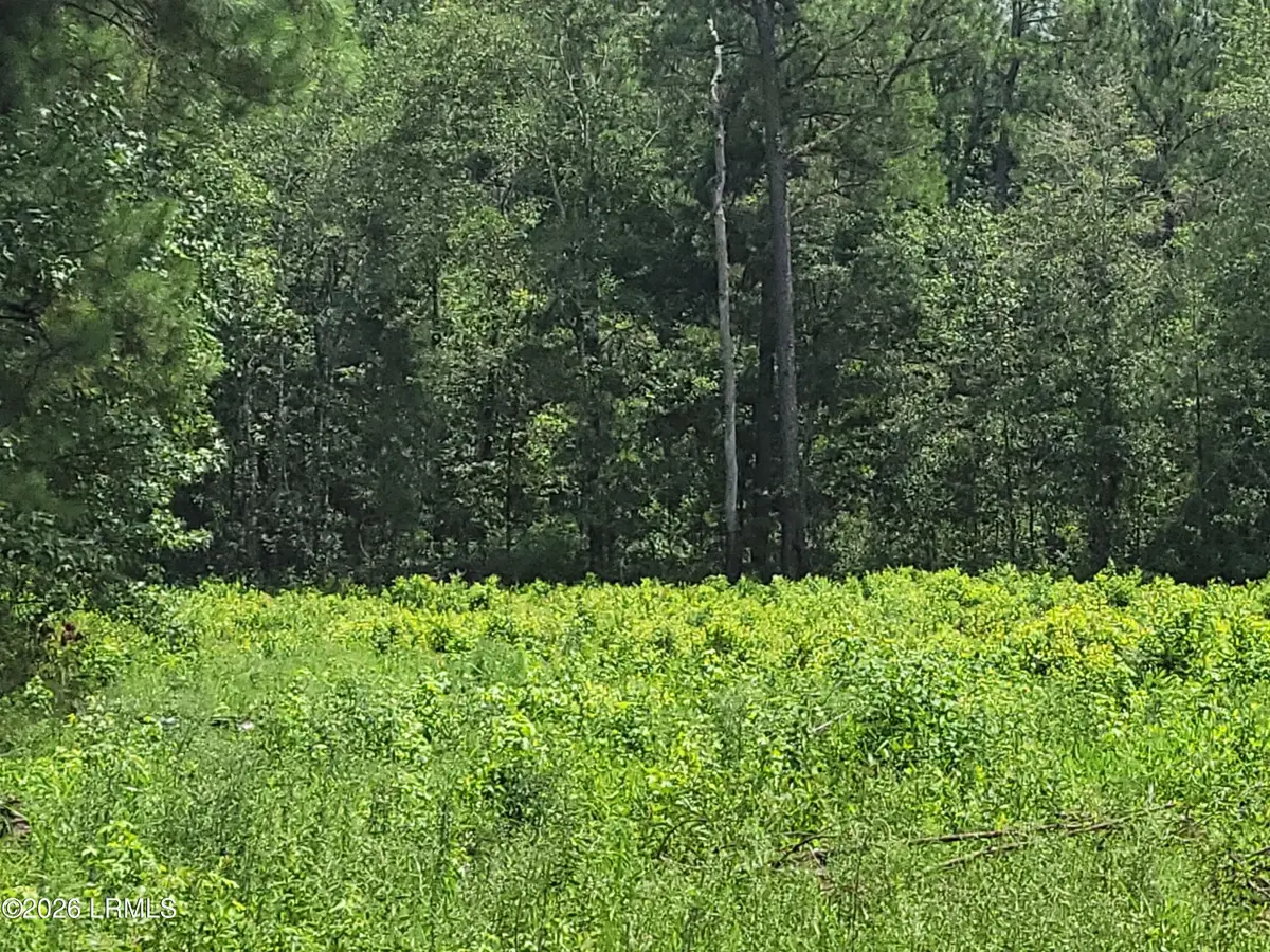 Tbd Toomerville Loop, Hardeeville, SC 29927 - #1