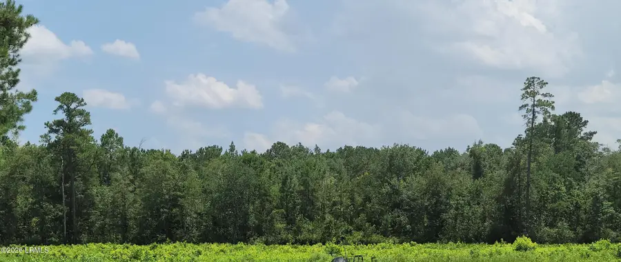 Tbd Toomerville Loop, Hardeeville, SC 29927 - #3