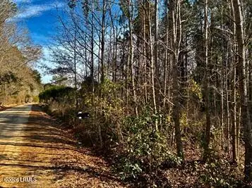 278 Sylvester Road, Varnville, SC 29944 - #1