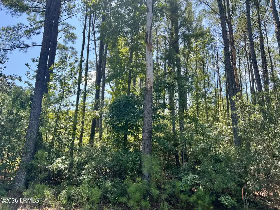 387 Founders Oak Way, Yemassee, SC 29945 - #3
