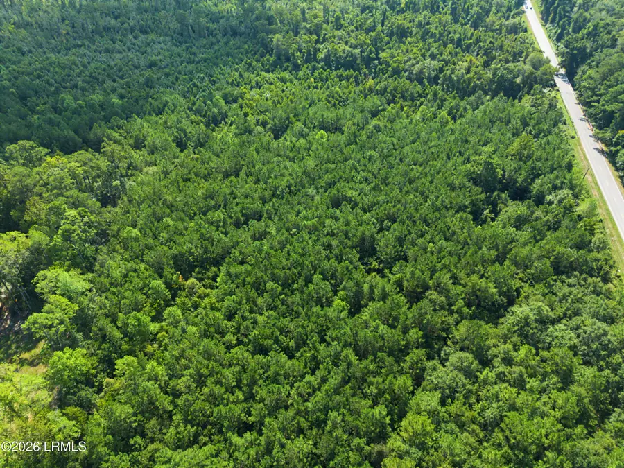 Tbd Lot 5 Industrial Road, Walterboro, SC 29488 - #3