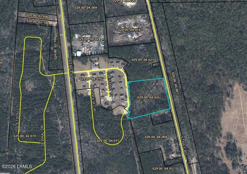 Tbd Stiney Road, Ridgeland, SC 29936 - #2