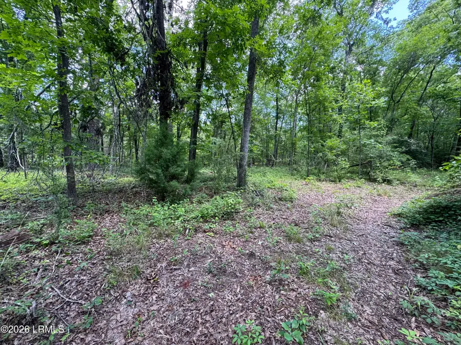 Tbd A Confederate Highway, Fairfax, SC 29827 - #3