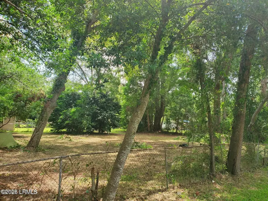 2698 Jones Avenue, Beaufort, SC 29902 - #2