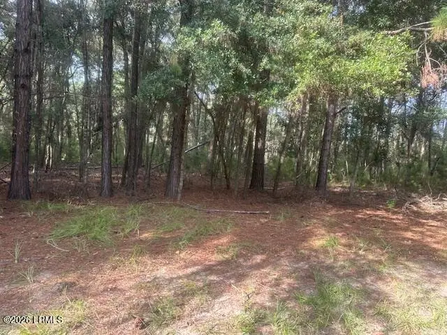 13 Diana Lane, Beaufort, SC 29907 - #2