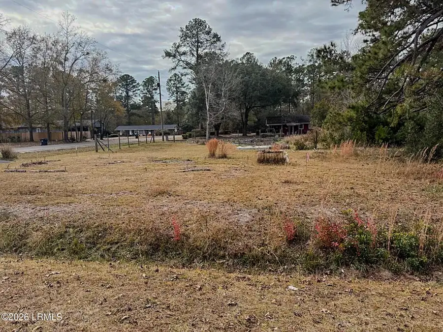 202 Sally Street, Hampton, SC 29924 - #2