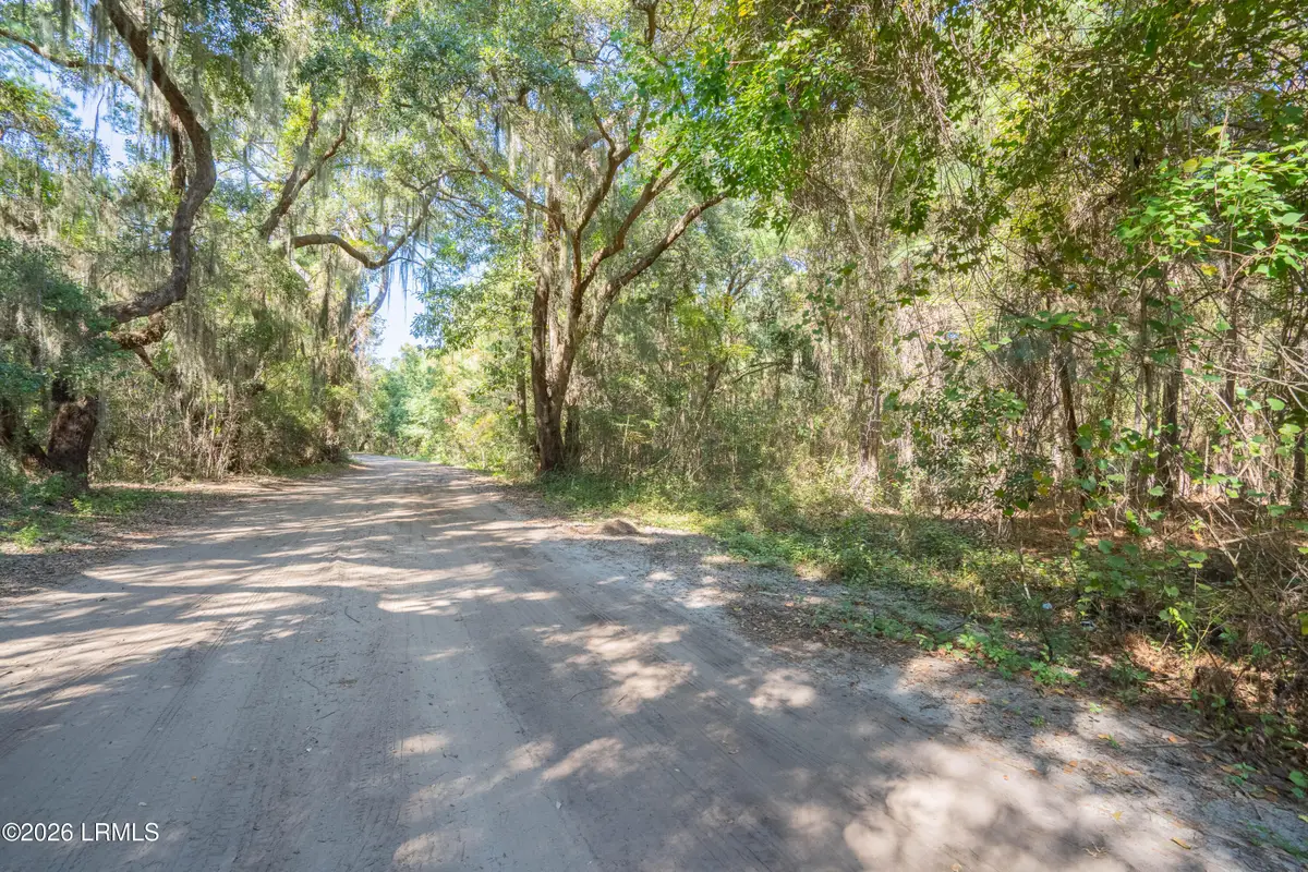 21 Chaplin Drive, Saint Helena Island, SC 29920 - #1