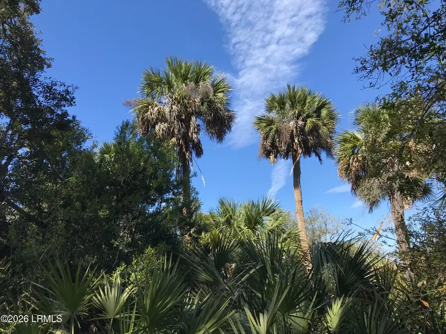 371 Pike Drive, Fripp Island, SC 29920 - #3