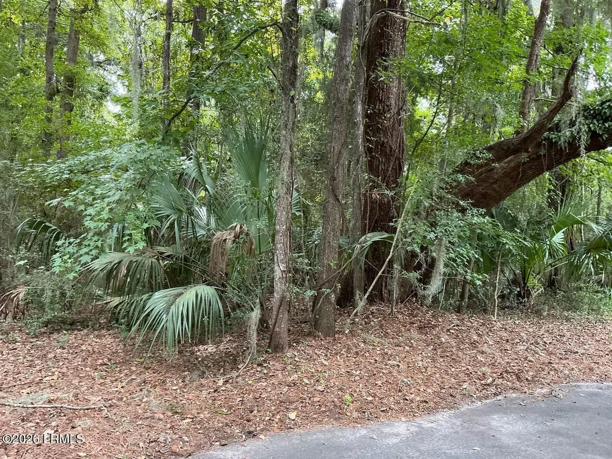 80 N Boone Road, Saint Helena Island, SC 29920 - #1