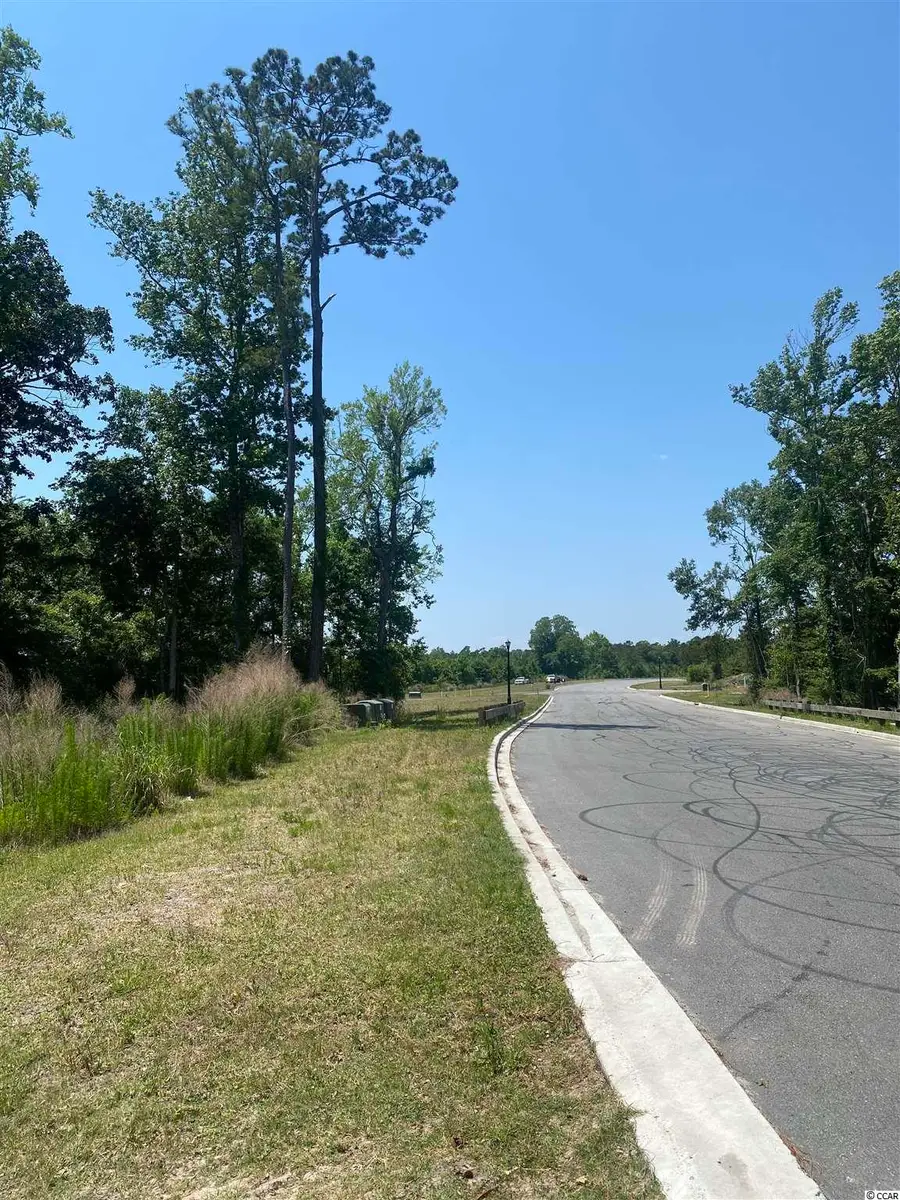 Water Tower Rd., Longs, SC 29568 - #2