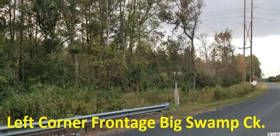 Tract A S Browns Way Shortcut Rd., Conway, SC 29527 - #3