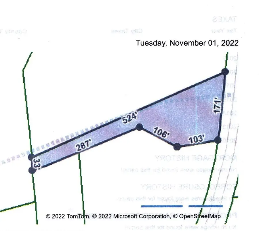 Tract A S Browns Way Shortcut Rd., Conway, SC 29527 - #2