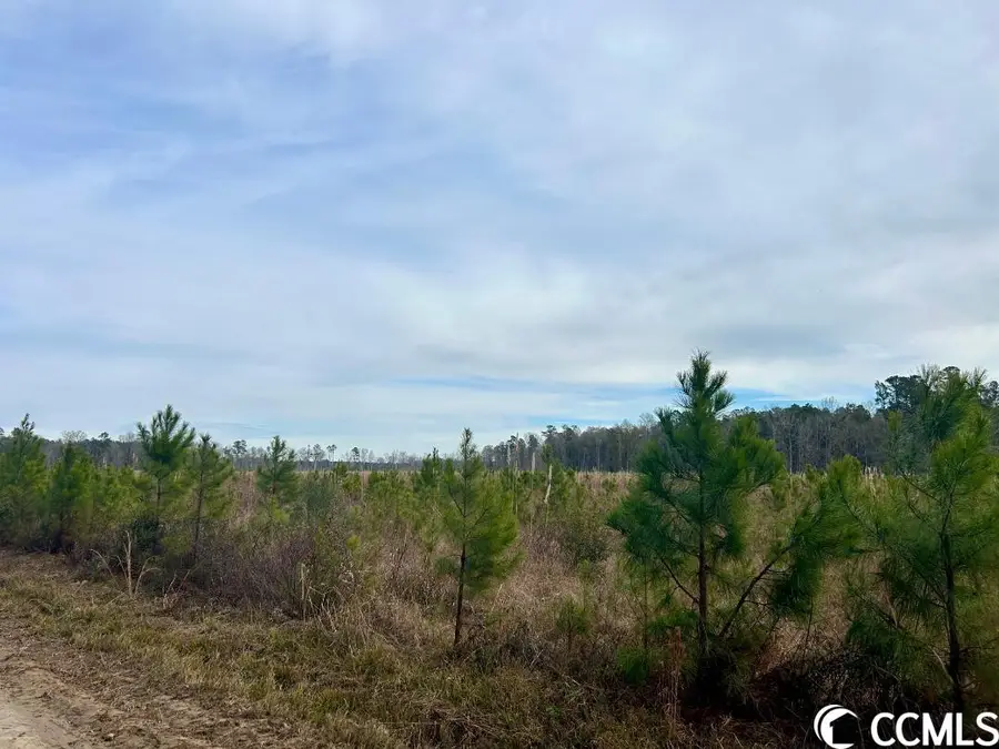 Craven Dr., Marion, SC 29571 - Image #2