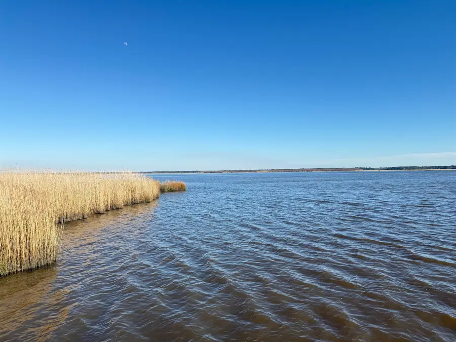 46 Oak Bay Dr., Georgetown, SC 29440 - #3