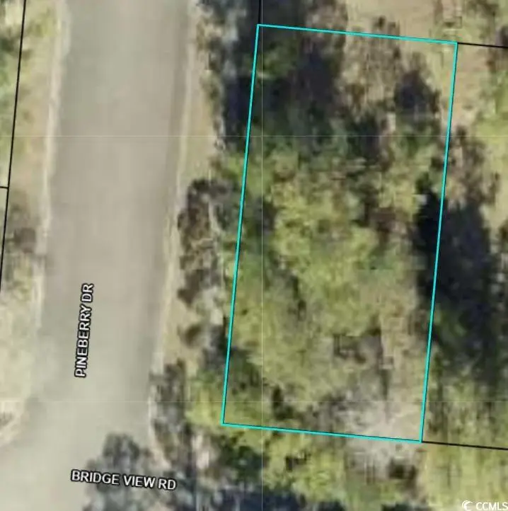 153 Bridge View Rd., Georgetown, SC 29440 - #2