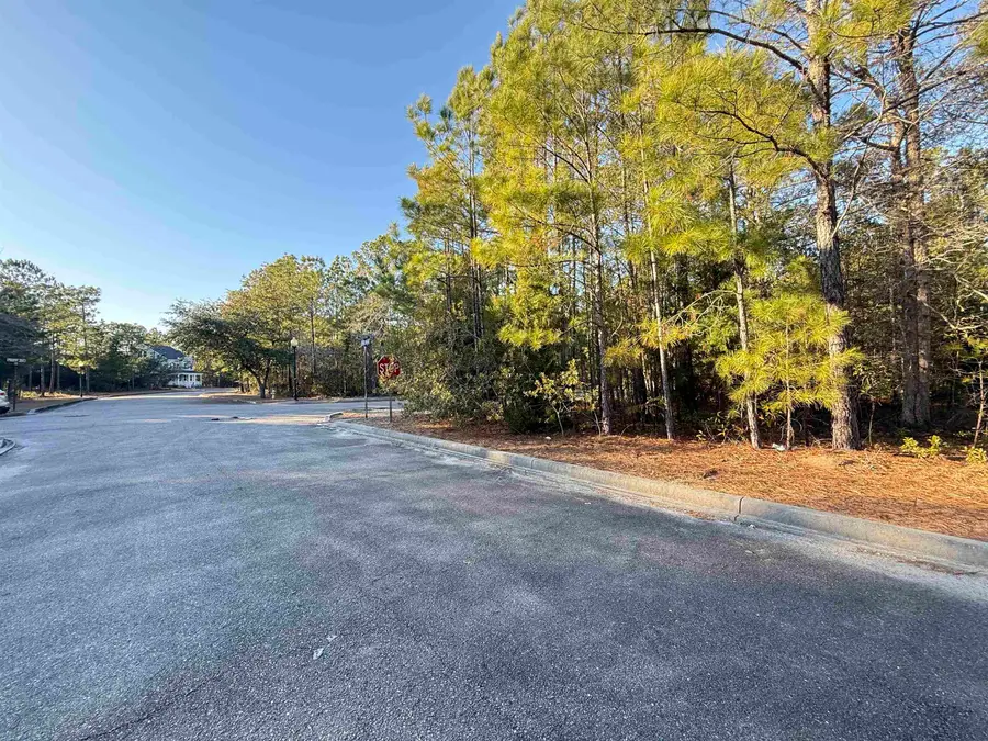 153 Bridge View Rd., Georgetown, SC 29440 - #3