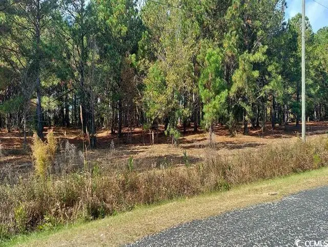 3029 Fowler Rd., Loris, SC 29569 - Image #1