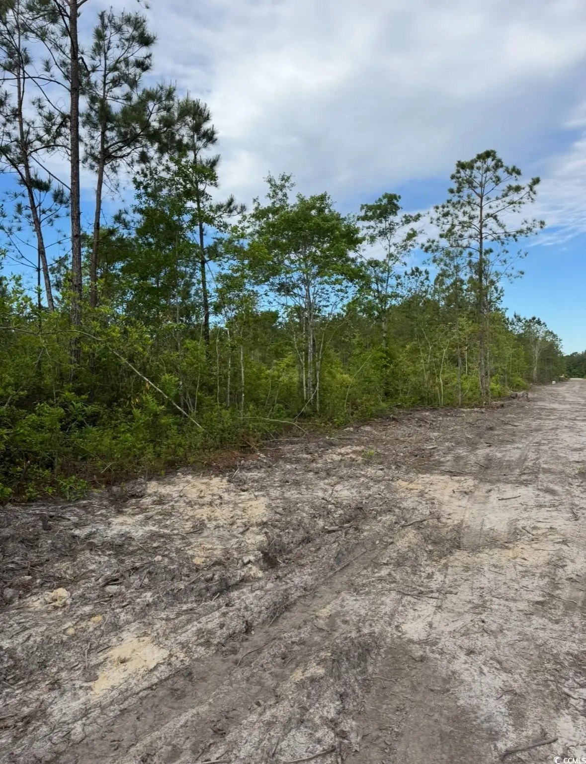 3204 Fowler School Rd., Loris, SC 29569 - Image #1