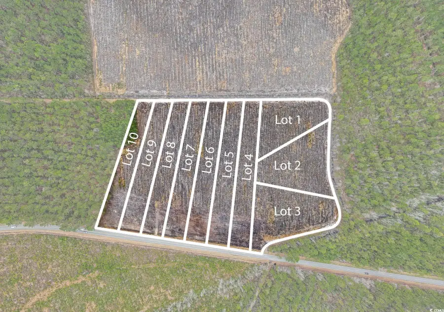 5530 Joyner Swamp Rd., Galivants Ferry, SC 29544 - #2