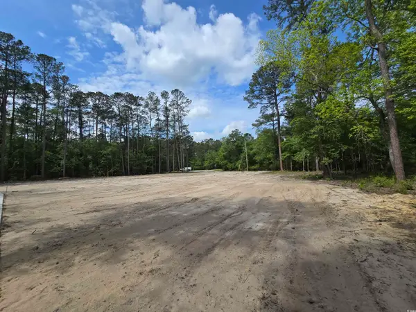 Lot 18 Cypress Knee Ct., Conway, SC 29526