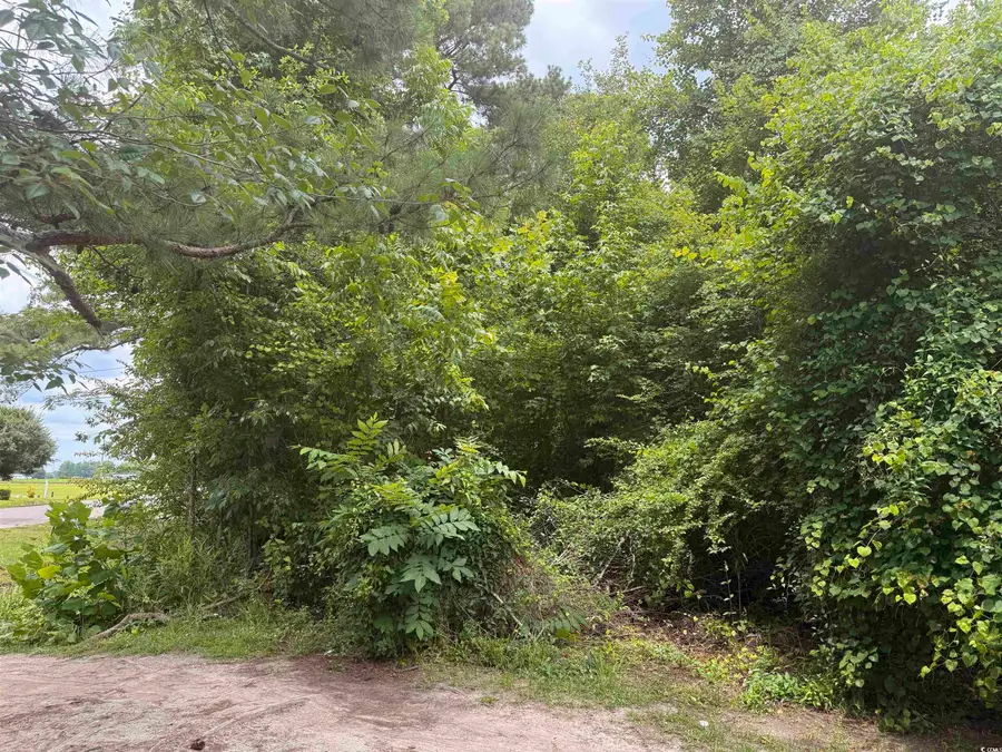 89 Pine Circle, Tabor City, NC 28463 - Image #2