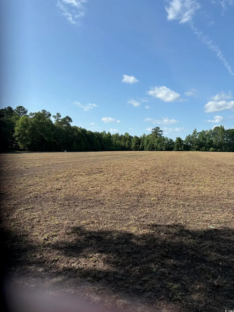 8745 Swamp Fox Hwy. E, Tabor City, NC 28463 - Image #2