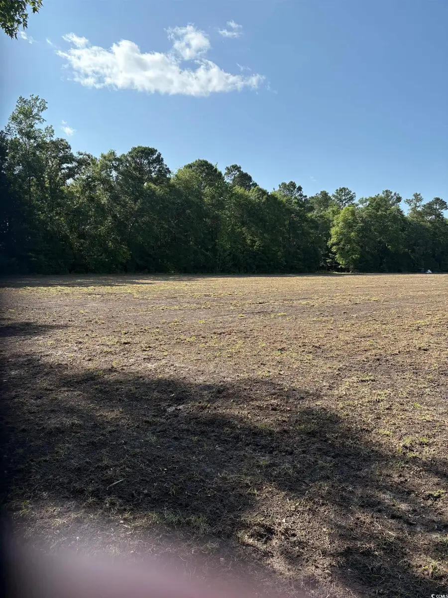 8745 Swamp Fox Hwy. E, Tabor City, NC 28463 - Image #3