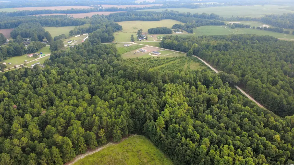 Lot 10 Tooge Hayes Rd., Mullins, SC 29574 - #1
