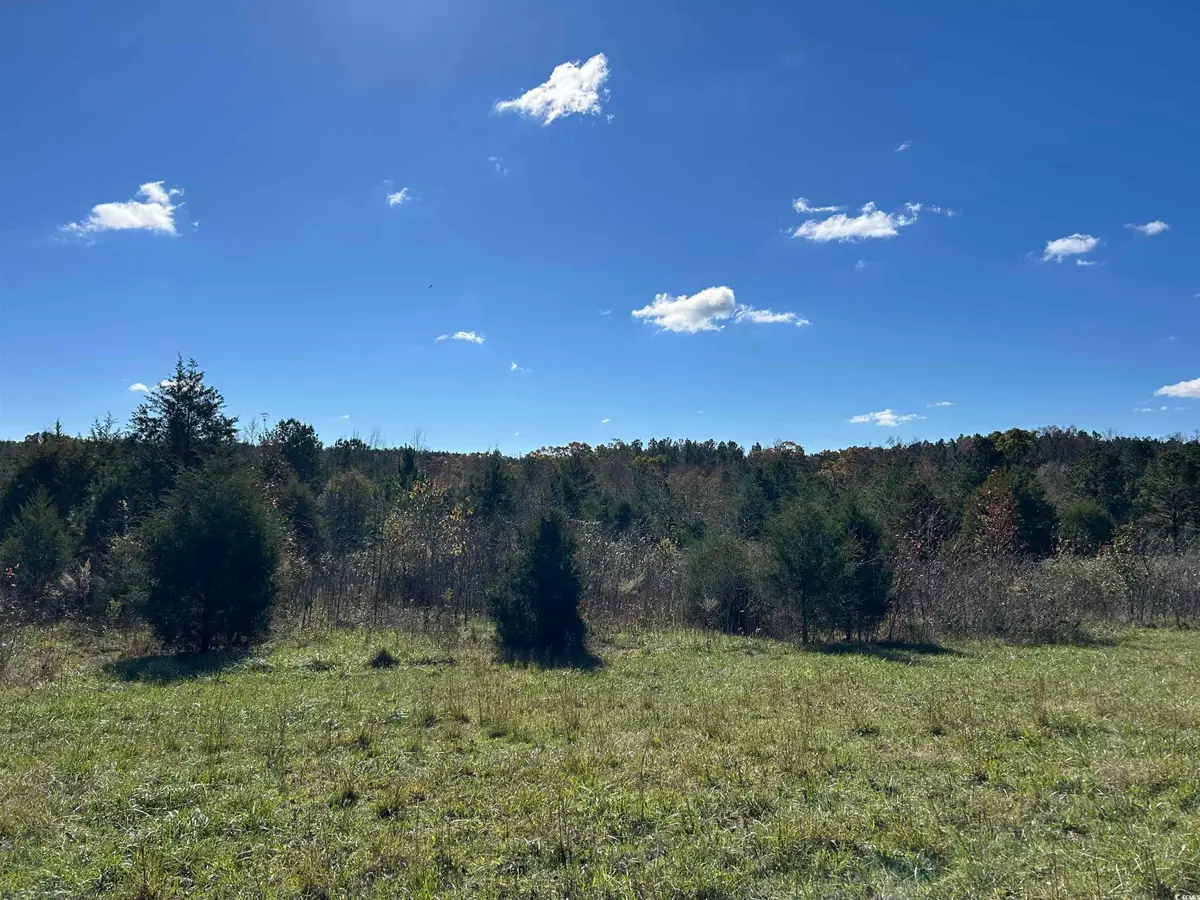 TBD River Fork Rd, Waterloo, SC 29653 - Image #1