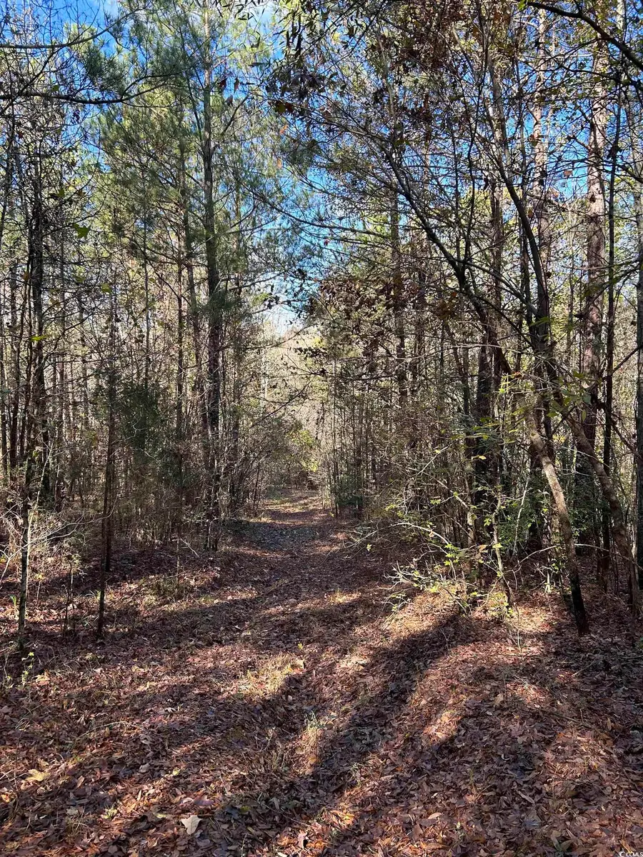 TBD River Fork Rd, Waterloo, SC 29653 - Image #2