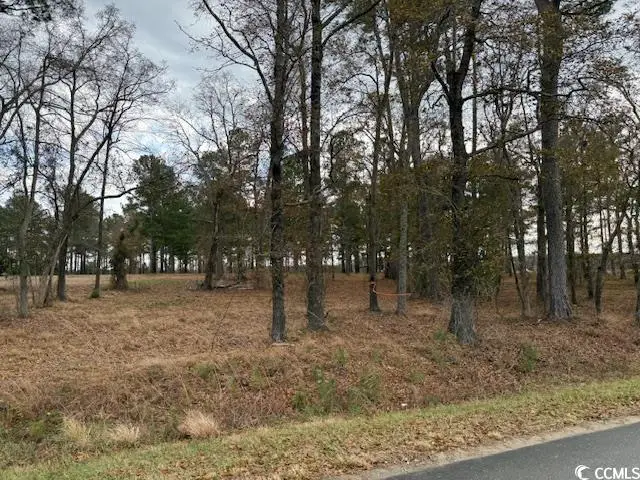 5.87 Acs Rabon Rd., Aynor, SC 29511 - #2