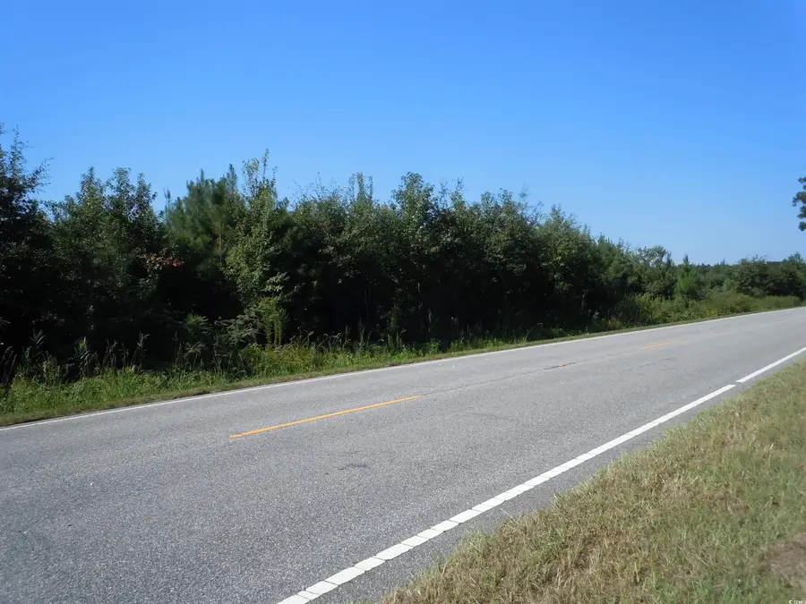 TBD Near 10547 Andrew Jackson Hwy., Fair Bluff, NC 28439 - Image #2