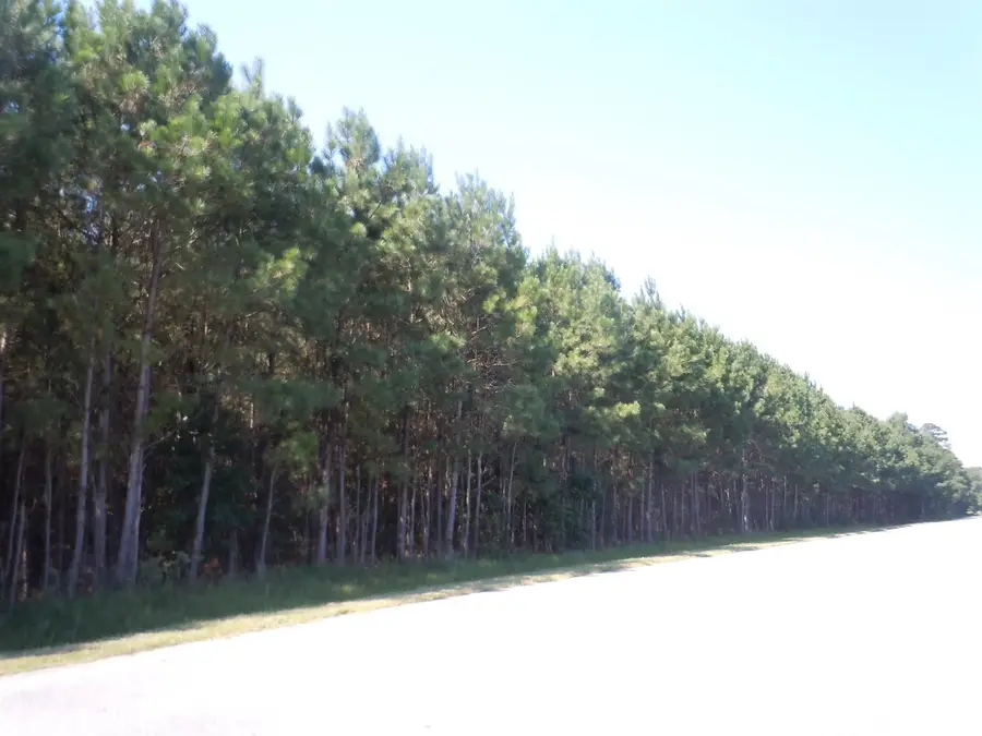 TBD Near 10547 Andrew Jackson Hwy., Fair Bluff, NC 28439 - Image #3