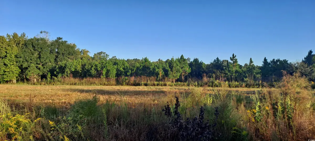 TBD Wee Tee Rd., Andrews, SC 29510 - Image #1