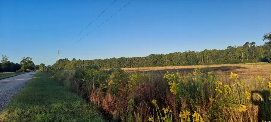 TBD Wee Tee Rd., Andrews, SC 29510 - Image #2