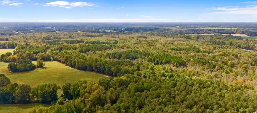 000 Schofield Pl., Fork, SC 29543 - Image #3