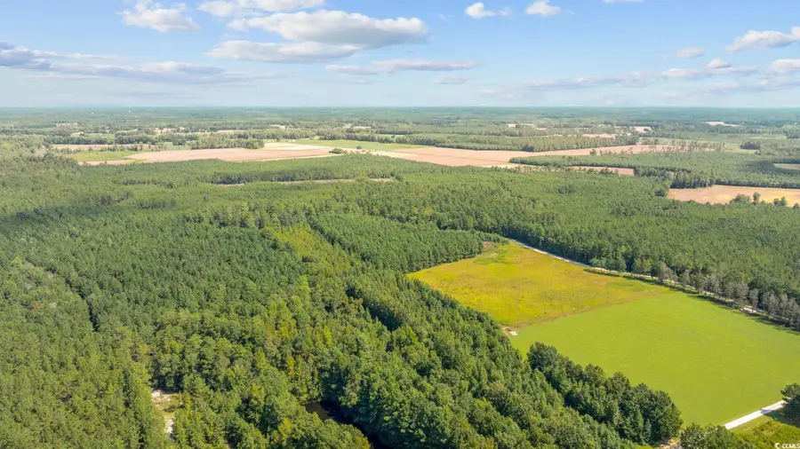 lot 2 Womack Rd., Nichols, SC 29581 - Image #3