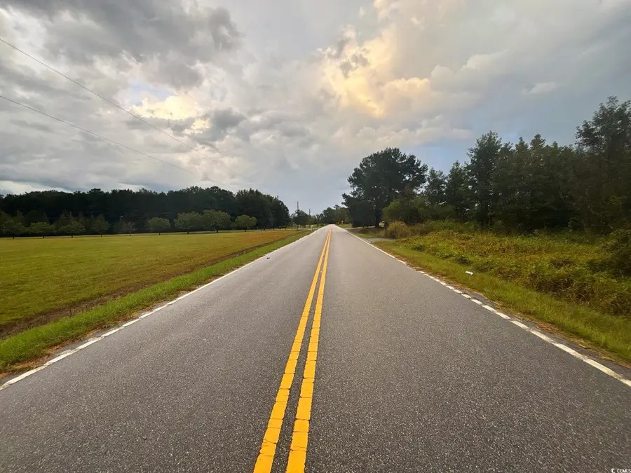 0 Winnie Rd., Nichols, SC 29581 - Image #2